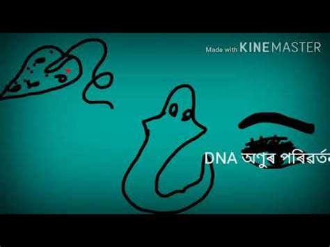 Class X Subject Science Chapter Heredity And Evolution Part 6