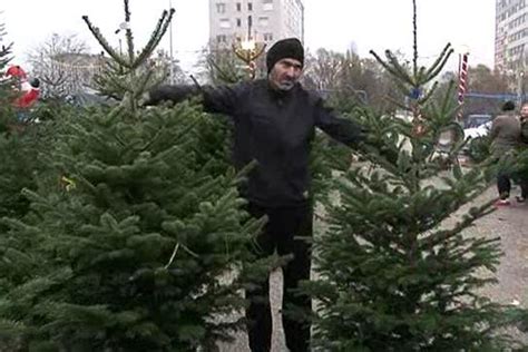 Lorraine La Vente Des Sapins De No L Bat Son Plein