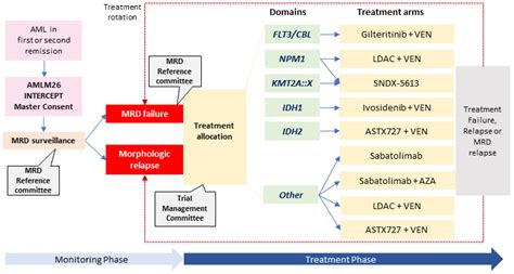 Ijms Free Full Text Targeting Measurable Residual Disease Mrd In