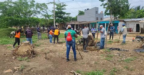 Siembra De Arboles Epa Celebra Cumplea Os De Cartagena Con La Siembra