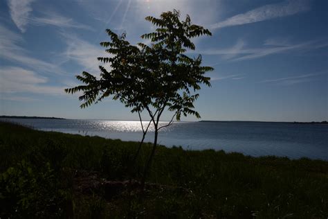 Indian Island County Park: A Walk Report - Tom Stock