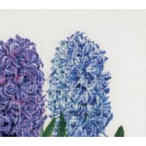 Cross Stitch Kit Hyacinths 434A Thea Gouverneur Aida EBay