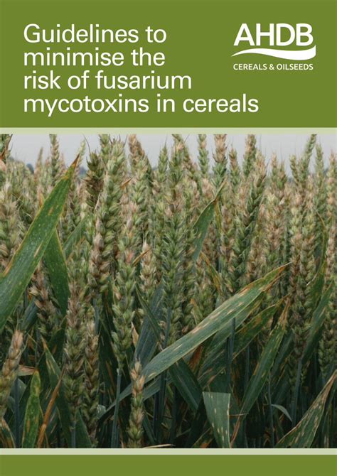 PDF Guidelines To Minimise The Risk Of Fusarium Mycotoxins In