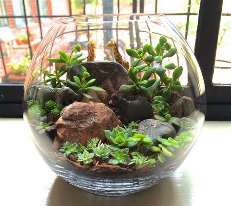 Pin By Ilsa Small On Bonsai Terrariums Miniature Gardens Miniature Garden Beautiful