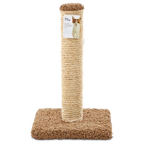 Cat Scratching Post At Petco At Olive Macarthur Blog