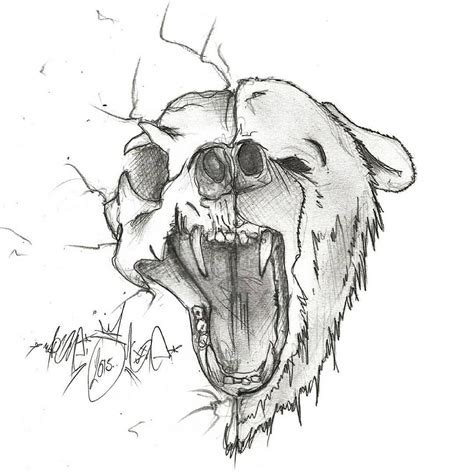 Bear Outline Drawing at PaintingValley.com | Explore collection of Bear Outline Drawing