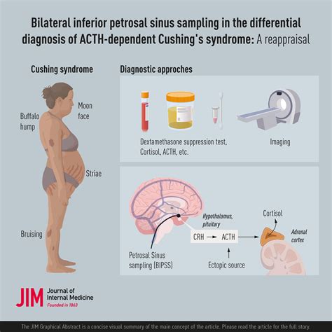 Journal Of Internal Medicine Vol 296 No 1