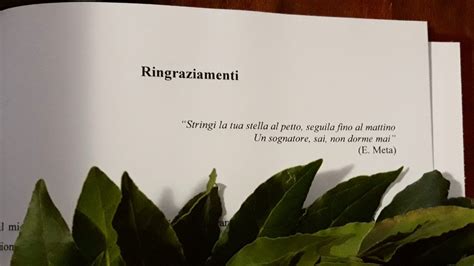 Frasi Commoventi Ringraziamenti Tesi Di Laurea Andyhafenl