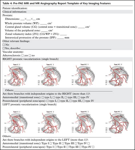 Prostatic Artery Embolization Indications Preparation Techniques