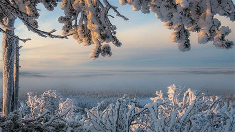 Fonds d ecran 1920x1080 Finlande Hiver Laponie région Neige Branche