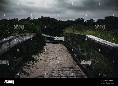 A dark pathway leading to an ominous forest Stock Photo - Alamy