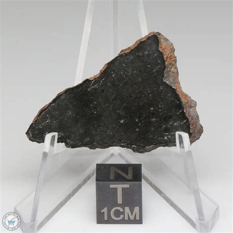 Tsarev Meteorite 200g Tsa 42 The Meteorite Exchange Inc