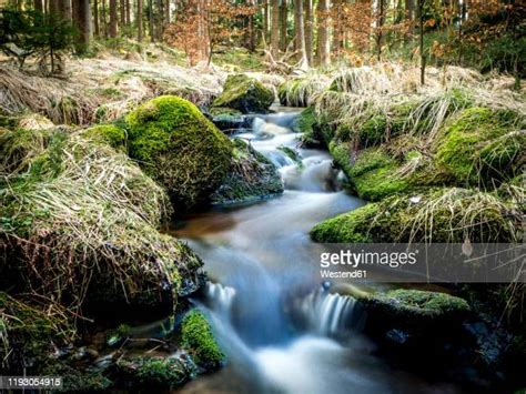 55 Upper Palatine Forest Stock Photos, High-Res Pictures, and Images ...