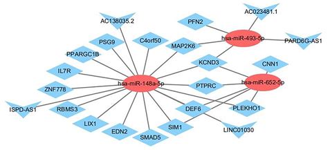 Frontiers Transcriptome Analysis Of Ivosidenib Mediated Inhibitory