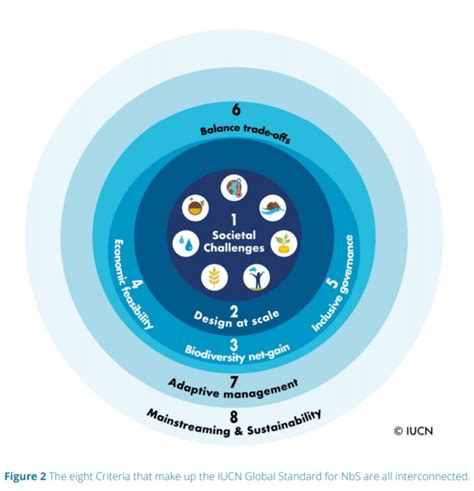 Iucn Unveils Global Standards For Nature Based Solutions