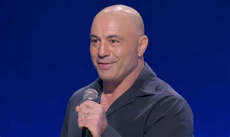 The Story Behind Joe Rogan's Hair Transplant - Hair System