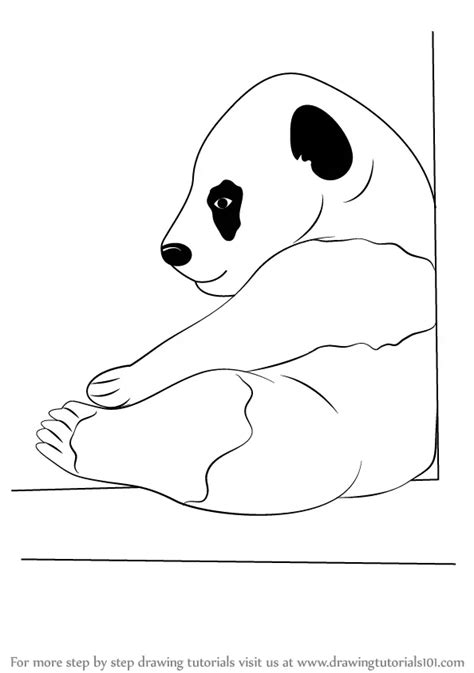 Learn How to Draw a Baby Panda (Wild Animals) Step by Step : Drawing ...