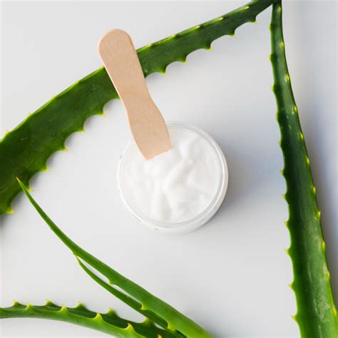 Comment R Aliser Un Masque L Aloe Vera Pour Le Visage