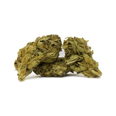 White Rhino – West Coast Botanics