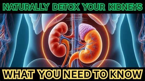 How To Naturally Detox Your Kidneys 7 Simple Methods Youtube