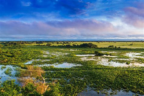 Guaraní Aquifer Navigating The Depths Of South Americas Vital Aquifer