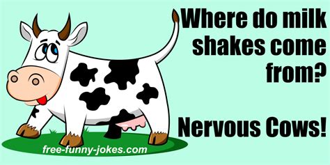 Cow Jokes