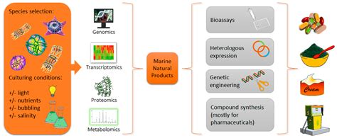 Marine Drugs Free Full Text Marine Natural Products From Microalgae