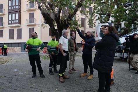 Los vecinos consiguen parar la tala de árboles en la plaza Llorenç