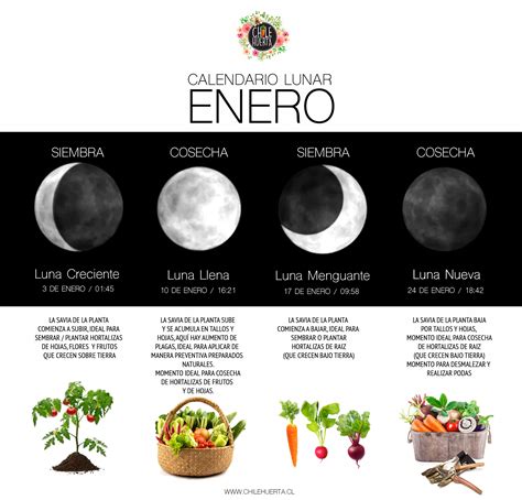 CALENDARIO-LUNAR-2020-ENERO - Chile Huerta