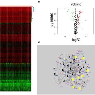 Tf Based Regulatory Network Construction Of A Tf Based Regulatory