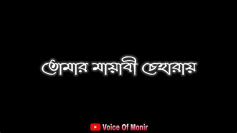 তোমার মায়াবী চেহারায় 🙁 New Bengali Attitude Status ☹️ Bangla Breakup