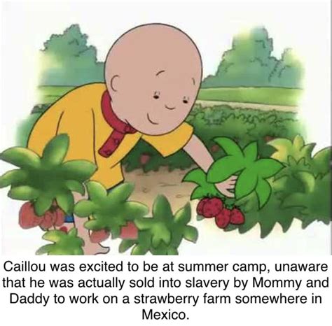 Caillou At Summer Camp : Teleshits