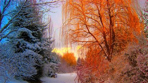 Solstizio D Inverno Il Sole Ritorna A Salire Dal Suo Punto Pi