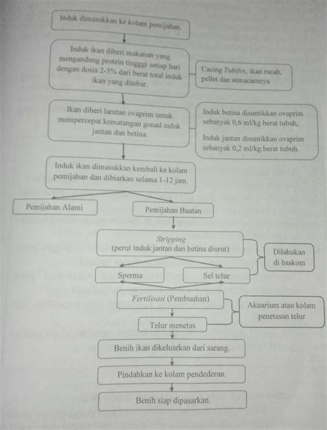 Sumber Aneka Pengetahuaan Seni