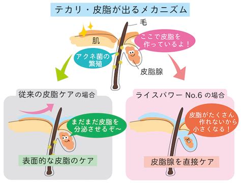 脂性肌におすすめの化粧水！プチプラから人気のアイテムまで15選紹介｜exciteおすすめアイテム