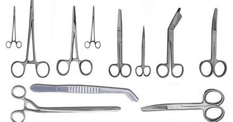 Quality Veterinary And Surgical Instruments Veterinary Surgical Equipment