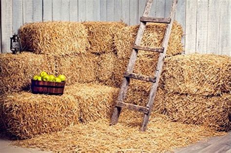 Mohome 7x5ft Country Rustic Old Fall Barn Photo Backdrop Party Barnyad