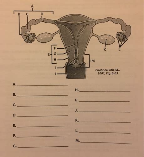 Pathophys III Exam 2 Flashcards Quizlet