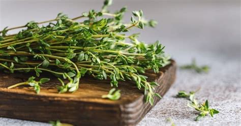 How To Dry Fresh Thyme And Keep Its Fragrance And Flavor - Kitchenous