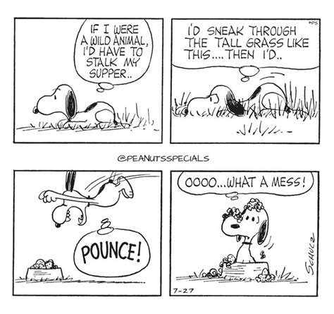 Pin By Susan Stewart On Snoopy And The Gang Snoopy Funny