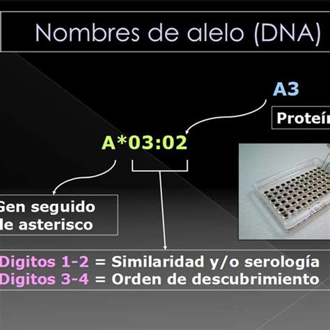 PDF Tipificación Genómica HLA de Alta Resolución y Aplicaciones en