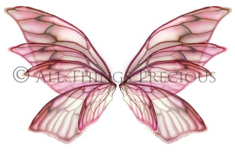 Digital Paper Digital Art Insect Wings Digital Overlays Color