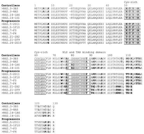 Alignment Of Hiv 2 Tat Protein Sequences From Controllers And