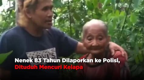 Nenek 83 Tahun Dilaporkan Ke Polisi Dituduh Mencuri Kelapa YouTube