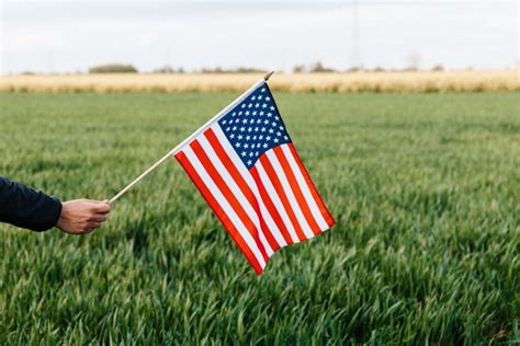 Tipos De Asilo En Estados Unidos