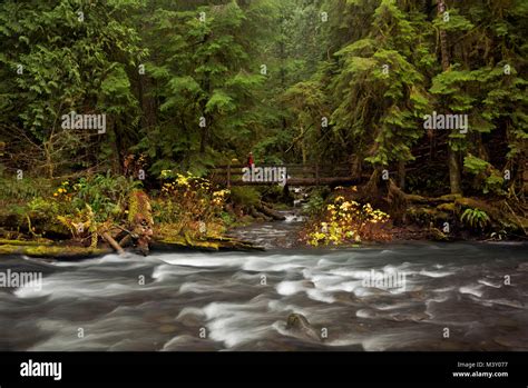 King Creek Falls Trail Hi Res Stock Photography And Images Alamy