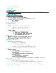 BIO 120 CH 2A NOTES Docx Human Anatomy And Physiology Eleventh