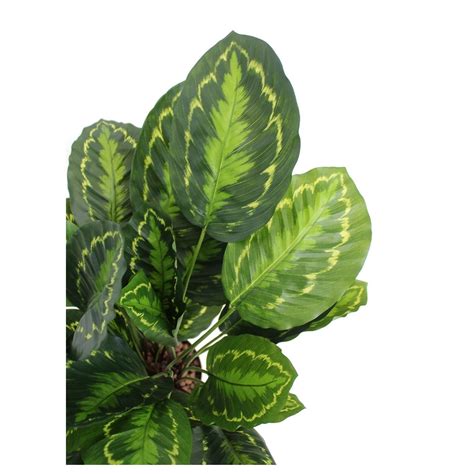 Calathea artificiel zébré 70 cm Plantes vertes artificielles