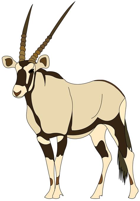 Oryx antelope clipart 20 free Cliparts | Download images on Clipground 2024