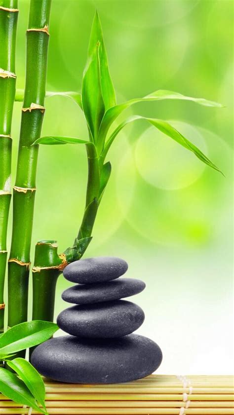 Zen Bamboo Desktop Backgrounds